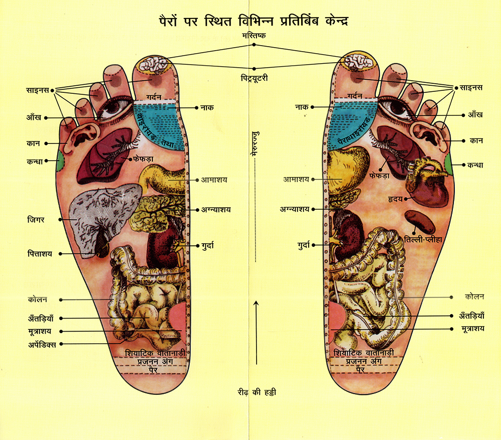 Reflexology Chart